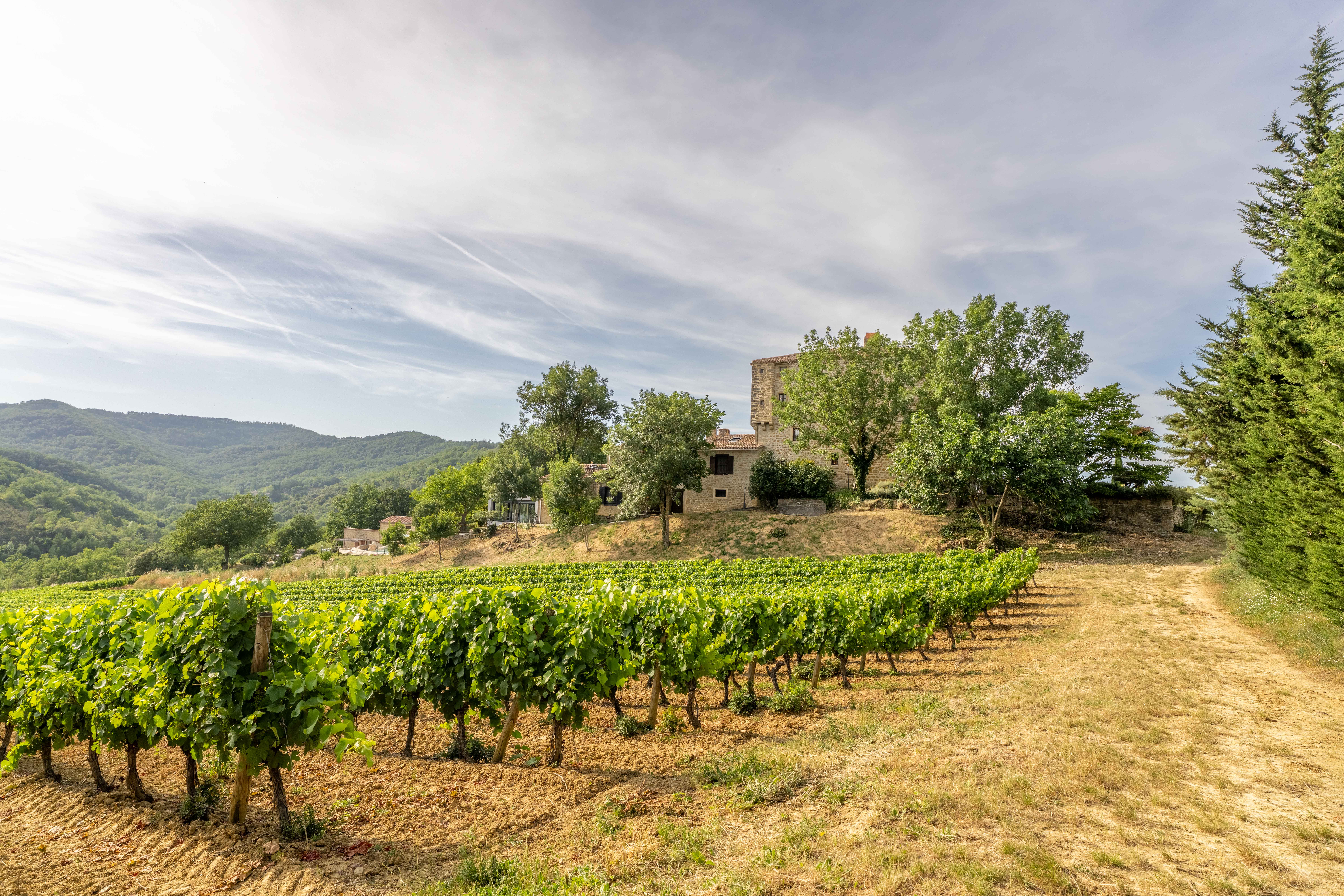 Château de Tournon — Intérieur